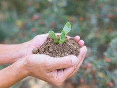 Perugia ospita Agrofutura, agricoltura e innovazione al centro del confronto