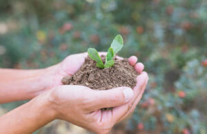 Perugia ospita Agrofutura, agricoltura e innovazione al centro del confronto