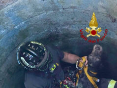 Umbertide, setter precipita in un pozzo: recuperata dai Vigili del Fuoco
