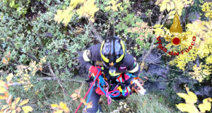 Poggiodomo, segugio precipita in una forra: recuperato dai Vigili del Fuoco