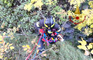 Poggiodomo, segugio precipita in una forra: recuperato dai Vigili del Fuoco