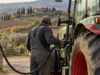 Agricoltura, Meloni mette in campo 4,5 milioni per le imprese umbre